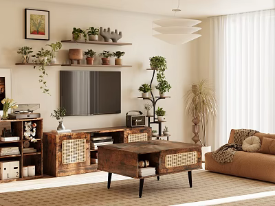 Wooden TV Stand With Wicker Details In Modern Living Room With TV And Potted Plants 3d model