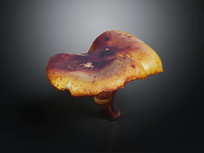 Vibrant Orange Yellow And Deep Purple Mushroom With Umbrella Cap Curved Stem On Dark Background 3d model