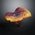 Vibrant Orange Yellow And Deep Purple Mushroom With Umbrella Cap Curved Stem On Dark Background