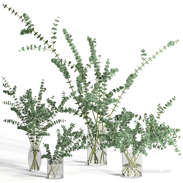 Multiple Glass Vases With Fresh Green Eucalyptus Leaves For Interior Decoration 3d model 