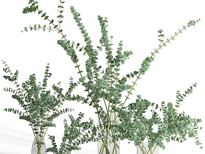 Multiple Glass Vases With Fresh Green Eucalyptus Leaves For Interior Decoration 3d model