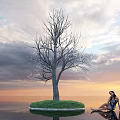 Bare Deciduous Tree Standing On Grass Island With Calm Water And Sunset Sky