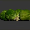 Fresh Green Brussels Sprouts Close Up On Reflective Dark Background