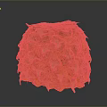Fresh Ripe Pineapple With Vibrant Orange Textured Skin On Dark Background
