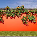 Vibrant Orange Building Exterior Wall With Green Vines Orange Flowers Blue Sky And Grass