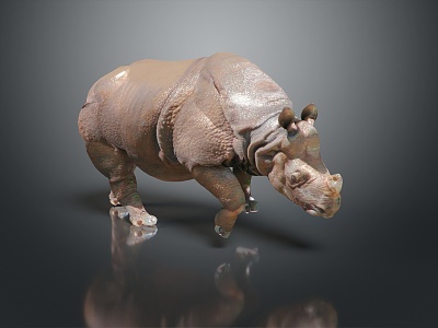 modern rhino land animal wild animal large animal 3d model