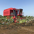 Red Combine Harvester Harvesting Cotton In Field With Lush Green Plants
