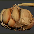 Fresh Peeled Garlic Bulb With Separated Cloves And Dry Outer Skin