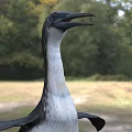 Flying Animal 3D Model Penguin Standing On Grassy Field With Blurred Background