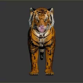 Majestic Tiger With Orange And Black Stripes Standing On White Background Displaying Realistic Fur Details