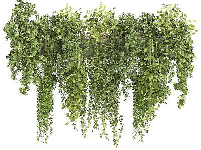 Lush Green Hanging Vines with Cascading Foliage for Indoor Wall Decoration 3d model