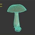 Fresh Wild Mushroom With Orange Spotted Cap And Brown Stalk Root Base