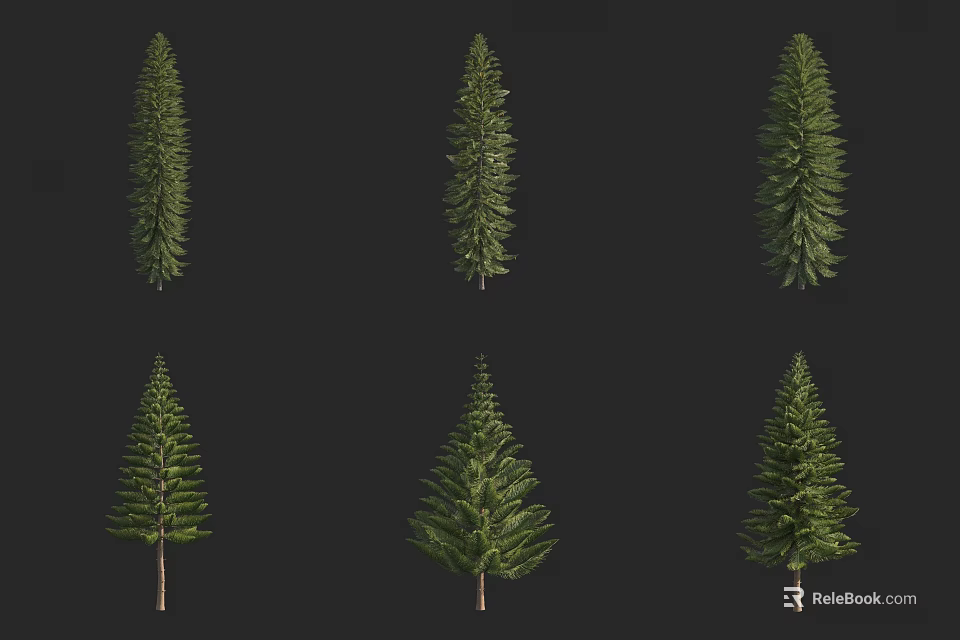 Evergreen Arbor Trees with Various Shapes Isolated on Black Background 3d model