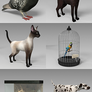 modern animal 3d model