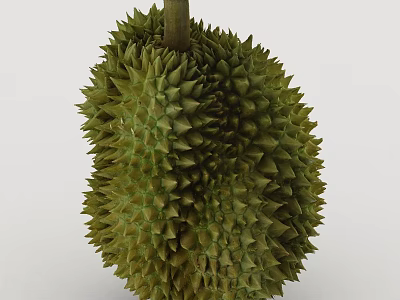 Tropical Durian Fruit With Spiky Green Skin And Fresh Natural Look 3d model