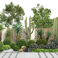 Diverse Garden Plants With Cacti Shrubs Round Greenery Tall Trees Stone And Wooden Fence
