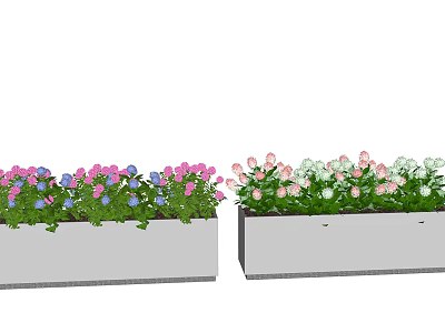 Colorful Potted Plants in Rectangular Planters with Pink Blue and White Flowers 3d model