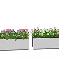 Colorful Potted Plants in Rectangular Planters with Pink Blue and White Flowers