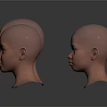 Multiple Realistic Bald Human Head Models With Detailed Facial Features