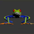 Vibrant Red-eyed Tree Frog With Green Body Blue Legs And Orange Toes