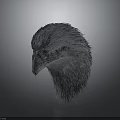 Detailed 3D Rendered Emu Head With Textured Feathers On Gray Background