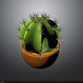 Healthy Green Spherical Cactus Plant with Sharp Thorns in Brown Ceramic Pot