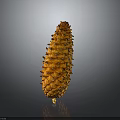 Detailed Natural Orange Pine Cone on Dark Background with Shiny Reflective Surface