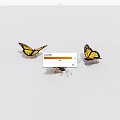 insect butterfly 3d model