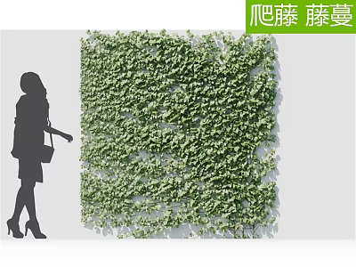 Modern Vine Wall 3d model