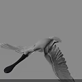 White Flying Bird With Spread Wings Long Black Beak And Grey Background 3d model