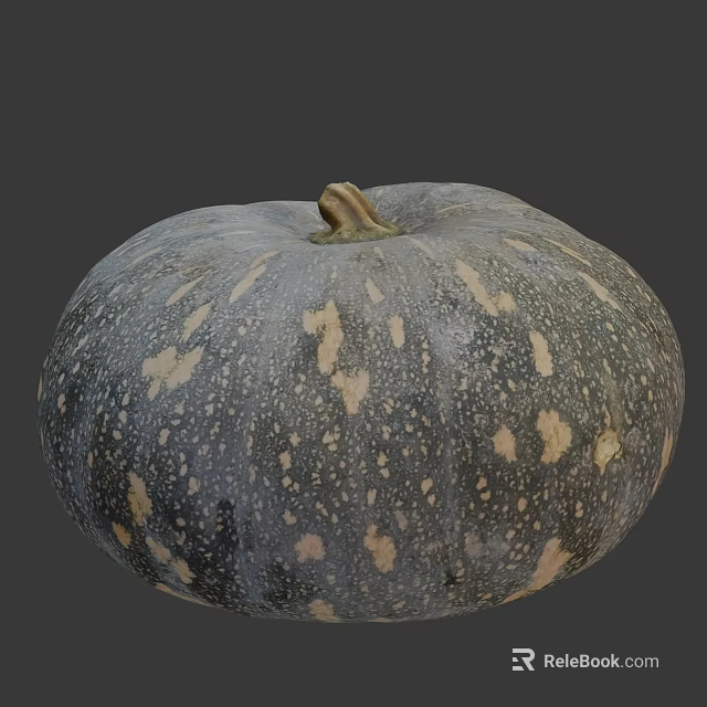 Speckled Grayish Green Pumpkin With Yellow Spots And Fresh Stem Vegetable 3d model 