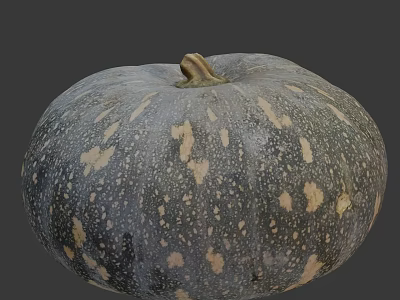 Speckled Grayish Green Pumpkin With Yellow Spots And Fresh Stem Vegetable 3d model