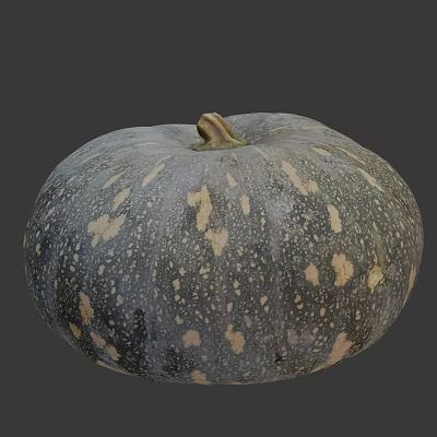 Speckled Grayish Green Pumpkin With Yellow Spots And Fresh Stem Vegetable 3d model