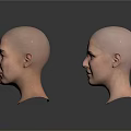 Multiple Bald Women Head Models Showcasing Various Skin Tones And Facial Features