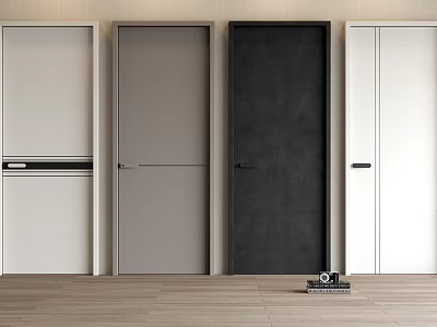 Modern Interior Display Of White Gray Black Hinged Doors With Wooden Floor 3d model