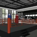Modern Fitness Training Gym With Boxing Ring Tires Open Space And Bright Window Lighting