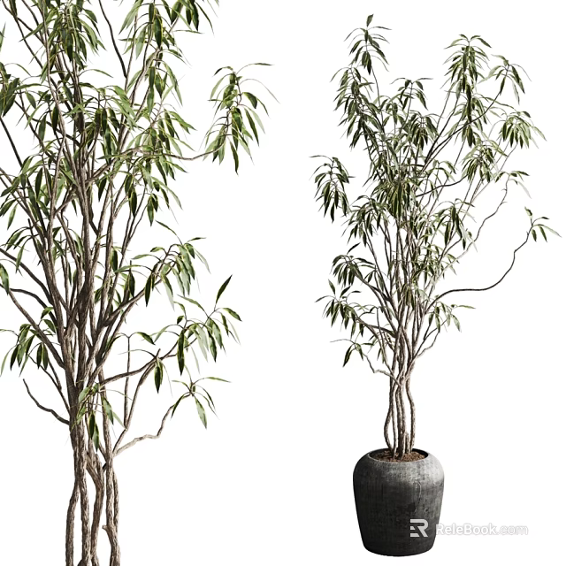 Bonsai Potted Plant With Green Leaves And Slender Branches In Gray Pot 3d model 
