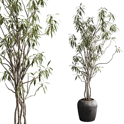 Bonsai Potted Plant With Green Leaves And Slender Branches In Gray Pot 3d model
