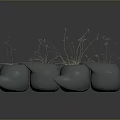 Green Plants In Multiple Gray Bird Shaped Pots With Slender Stems And Small Flowers