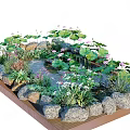 Natural Water Fountain with Lotus Flowers Lily Pads Rocks and Aquatic Plants