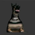 German Shepherd Dog Lying Down With Open Mouth And Collar On Gray Background
