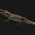 Reptile Crocodile with Open Mouth Sharp Teeth and Green Scales on Black Background