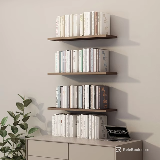 Books On Multiple Wooden Shelves With Green Plant And Small Clock 3d model 