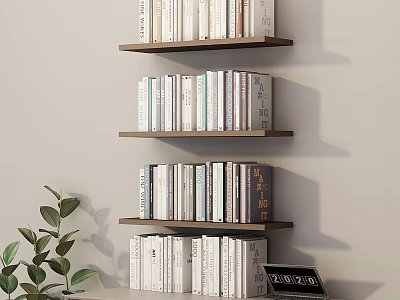 Books On Multiple Wooden Shelves With Green Plant And Small Clock 3d model
