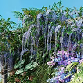 Living Plant Wall Featuring Wisteria Blooms Greenery Purple Pink Flowers Deer Sculpture Stream And Grass