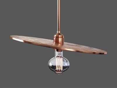 Copper and Wooden Modern Pendant Light with Long Shade and Clear Filament Bulb 3d model