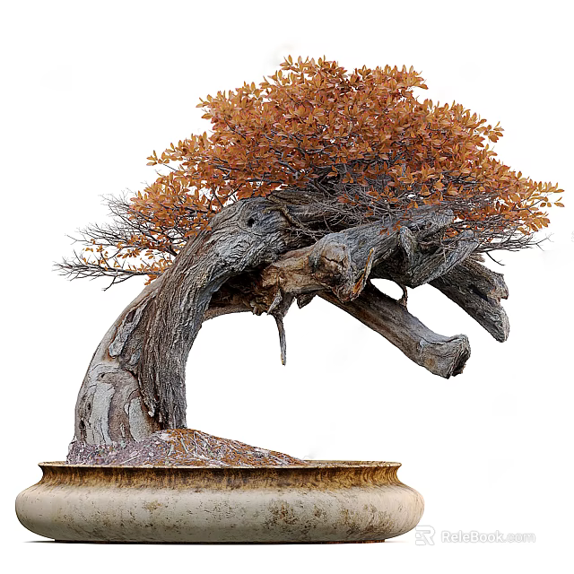 Bonsai Plant Featuring Thick Gnarled Trunk Curved Branches And Orange Autumn Leaves In Ceramic Pot 3d model 