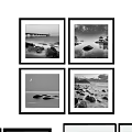 Black and White Landscape Paintings Collection With Various Natural Scenes And Art Views