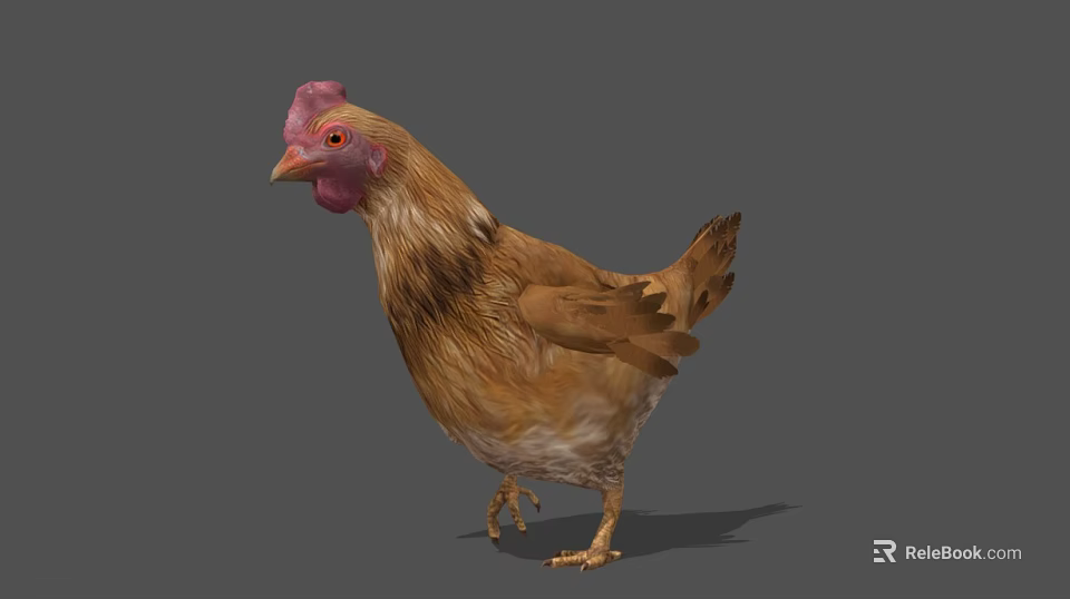 Brown Feathered Flying Animal Chicken With Red Comb Standing On Gray Background 3d model 