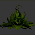 Decorative Green Plant Models With Lotus Shaped Leaves And Curly Vines